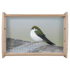 Violet Grüne Schlucht Tablett