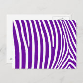 Violet Lila Zebra Streifen Postkarte (Vorne/Hinten)