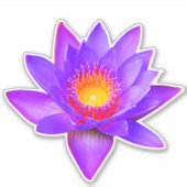 Violet Lotus Blume Aufkleber (Vorderseite)