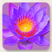 Violet Lotus Blume Getränkeuntersetzer (Vorderseite)