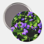 Violet Magnet (Vorderseite/Rückseite)