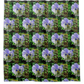 VIOLET PANSY DUSCHVORHANG (Vorderseite)