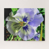 VIOLET PANSY PUZZLE (Horizontal)