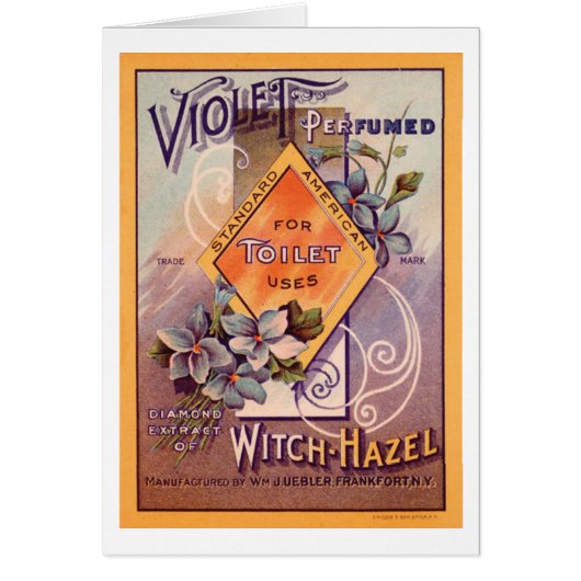 Violet perfumed - 1903 (Vorne)