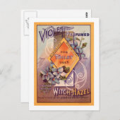 Violet perfumed - 1903 postkarte (Vorne/Hinten)