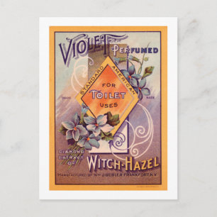 Violet perfumed - 1903 postkarte