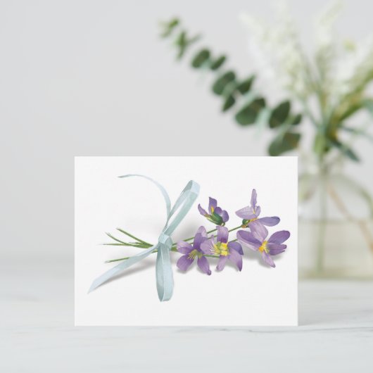 Violet Postkarte (Stehend Vorderseite)