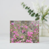 Violet Rays Bush Blume Postcard Postkarte (Stehend Vorderseite)