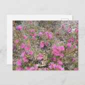 Violet Rays Bush Blume Postcard Postkarte (Vorne/Hinten)