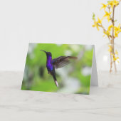 Violet Sabrewing Hummingbird Card Karte (Gelbe Blume)
