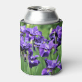 Violet sibirische Iris, Ceasars Bruder Dosenkühler (Kanne Vorderseite)
