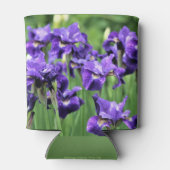 Violet sibirische Iris, Ceasars Bruder Dosenkühler (Rückseite)