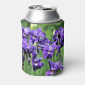 Violet sibirische Iris, Ceasars Bruder Dosenkühler (Kanne Rückseite)