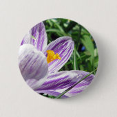 Violet Spring Crocus Button (Vorderseite)