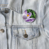 Violet Spring Crocus Button (Beispiel)