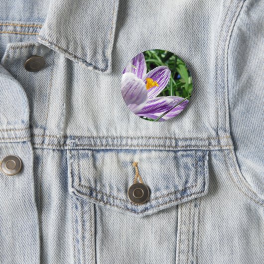 Violet Spring Crocus Button (Beispiel)