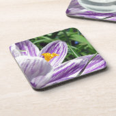 Violet Spring Crocus Getränkeuntersetzer (Linke Seite)