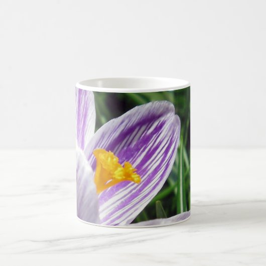 Violet Spring Crocus Kaffeetasse (Mittel)