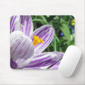 Violet Spring Crocus Mousepad (Mit Mouse)