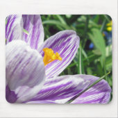 Violet Spring Crocus Mousepad (Vorne)