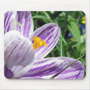 Violet Spring Crocus Mousepad