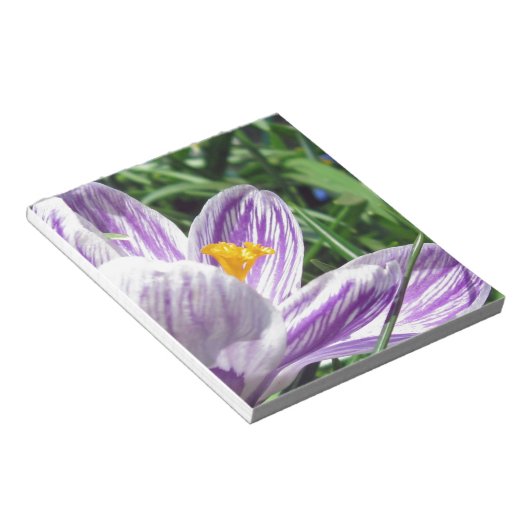 Violet Spring Crocus Notizblock (angewinkelt)