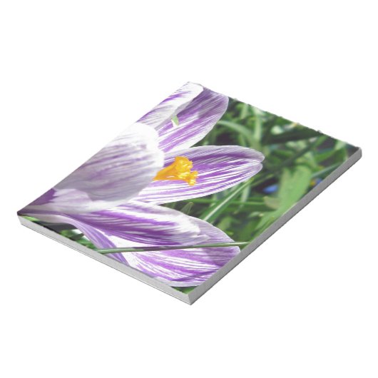 Violet Spring Crocus Notizblock (Rotiert)