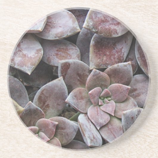 Violet Succulent Deluxe Getränkeuntersetzer (Vorne)