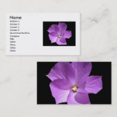 Violet-Visitenkarte Visitenkarte (Vorne/Hinten)
