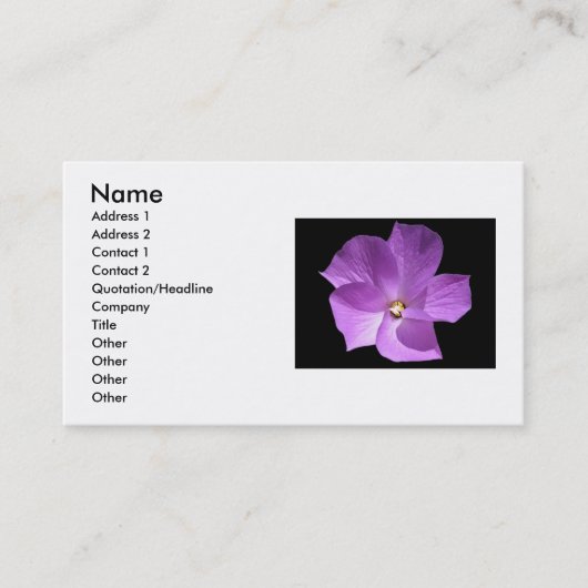 Violet-Visitenkarte Visitenkarte (Vorderseite)