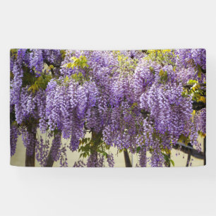 Violet Wisteria Blume Banner