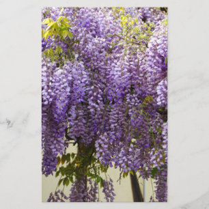 Violet Wisteria Blume Briefpapier