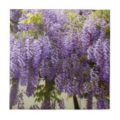 Violet Wisteria Blume Fliese (Vorderseite)