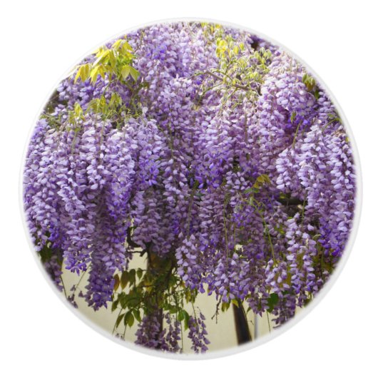 Violet Wisteria Blume Keramikknauf (Vorderseite)