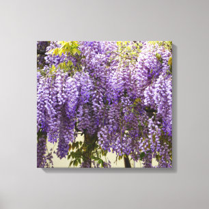 Violet Wisteria Blume Leinwanddruck