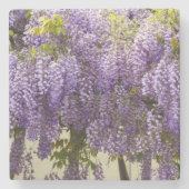 Violet Wisteria Blume Steinuntersetzer (Vorderseite)