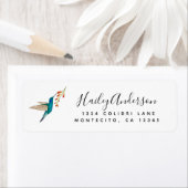 Violetear Hummingbird-Rücksendeadresse (Insitu)