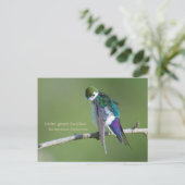 Violetgrün Schlucken Postkarte (Stehend Vorderseite)