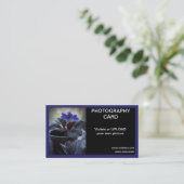 Violets für Lila Fenster der Blume Visitenkarte (Stehend Vorderseite)