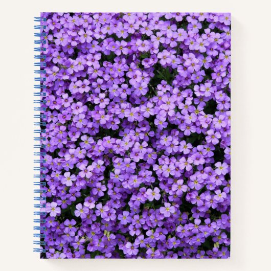 Violets-Notebook Notizblock (Vorderseite)