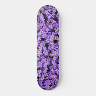 Violets Skateboard Violet Blume Frühjahr Lila
