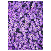 Violets-Zwischenablage Klemmbrett (Rückseite)
