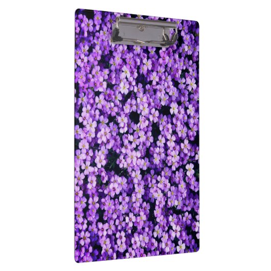 Violets-Zwischenablage Klemmbrett (Rechts)