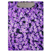 Violets-Zwischenablage Klemmbrett (Vorderseite)