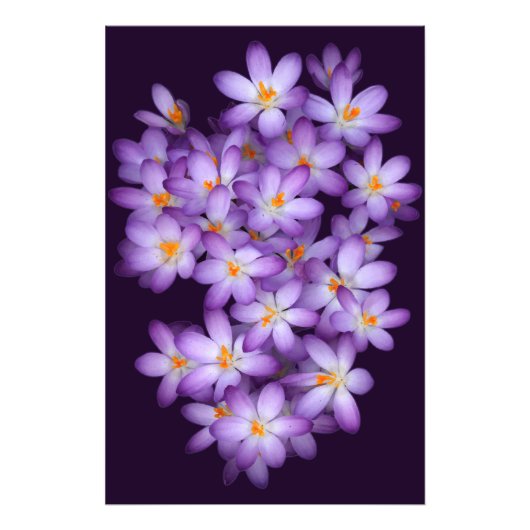 Violett-Blume Fotodruck (Vorne)