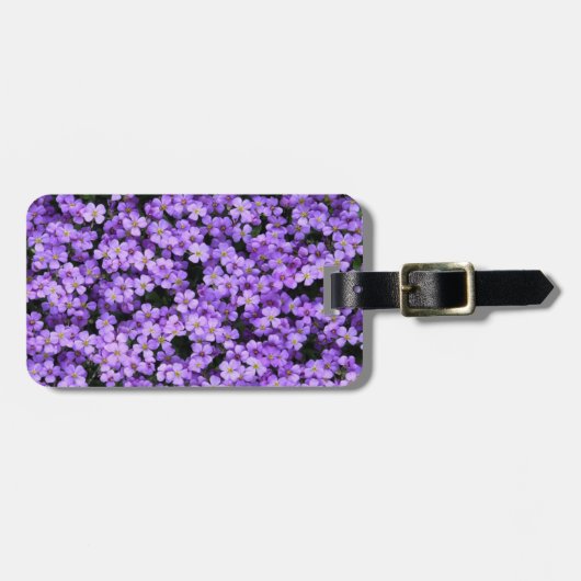 Violett Blume Gepäckstück Beautiful Violets Gepäckanhänger (Vorderseite horizontal)