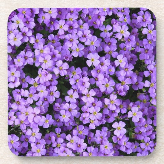 Violett-Blume Getränkeuntersetzer (Vorderseite)