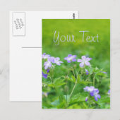 Violett-Blume im Feld Postkarte (Vorne/Hinten)