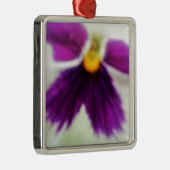 Violett-Blume, Lila weiß Silbernes Ornament (Rechts)