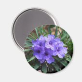 Violett-Blume-Magnet Magnet (Vorderseite/Rückseite)
